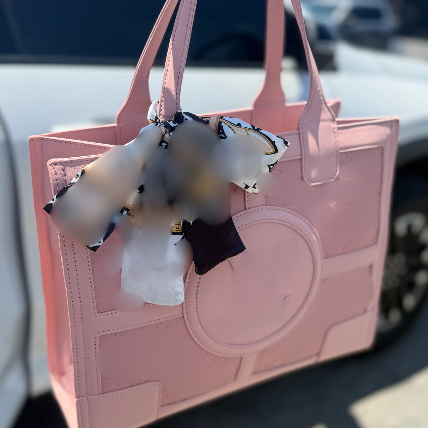 Pink Carryall bag