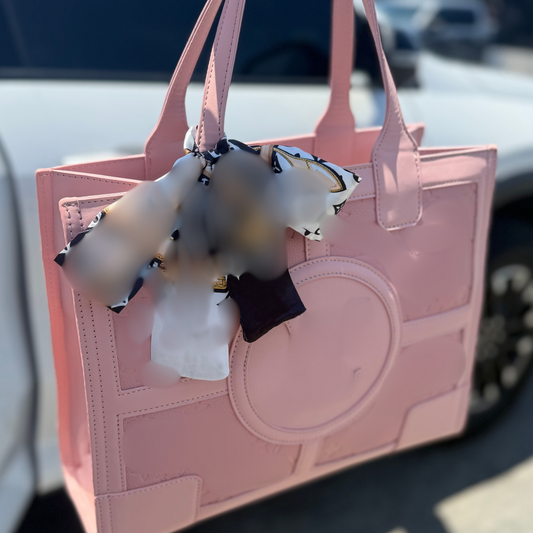 Pink Carryall bag